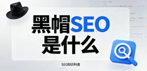 黑帽seo是什么