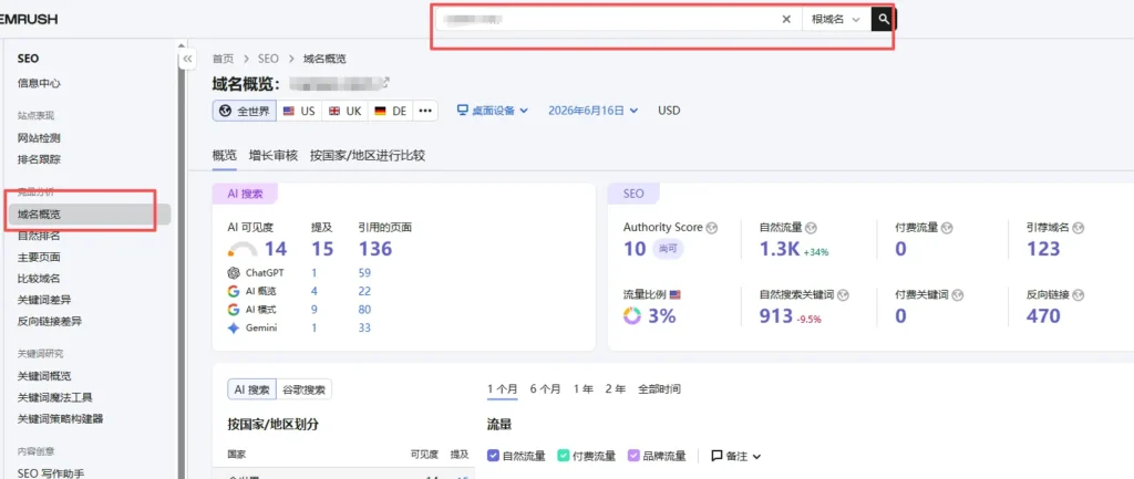 在“域名概览”中输入你的域名